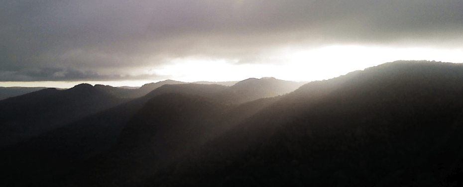 GMY13 Info & Rego.png