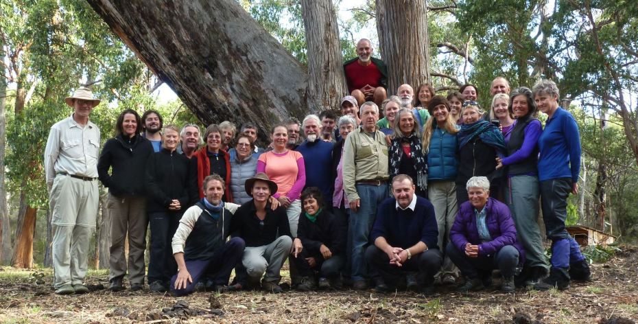 TY16 group (Deep Ecology)