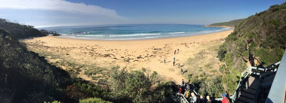 0994045E-14E3-4990-936F-E68285602583