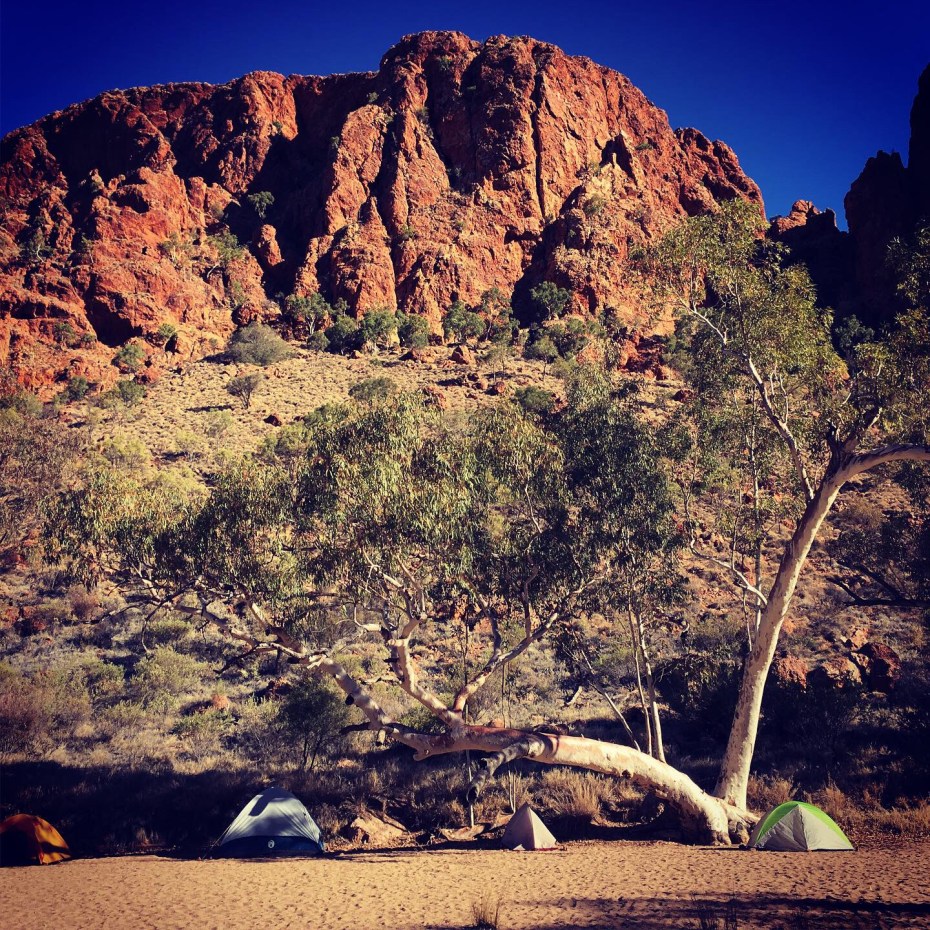 1200869D-DACB-460C-8AAC-A3825F134945